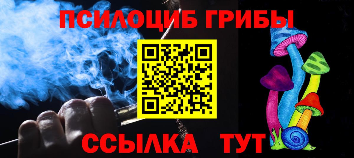 Галлюциногенные грибы Psilocybe  Вход с VPN  Галлюциногенные грибы мухоморы  Тихвин 