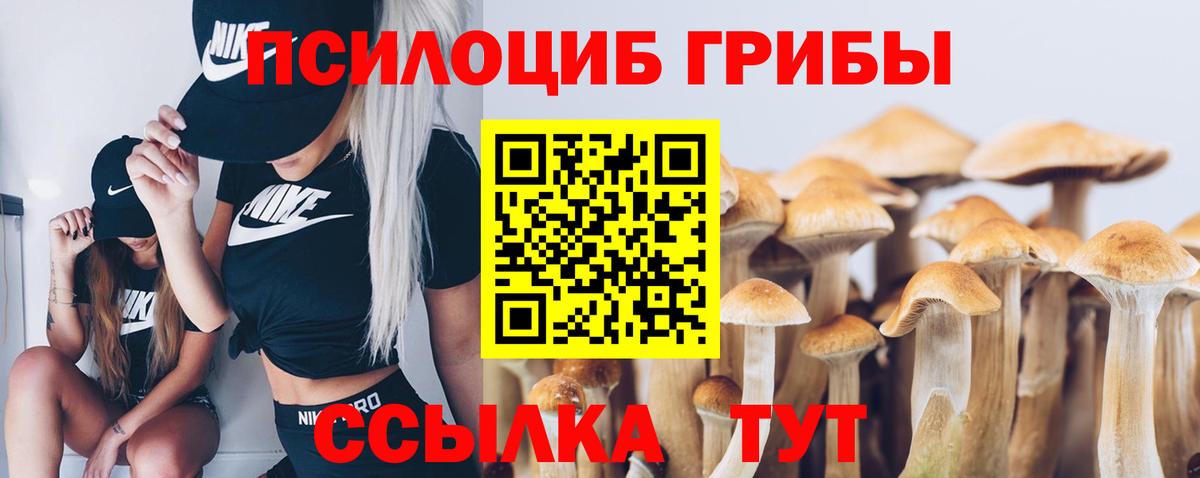Галлюциногенные грибы Magic Shrooms Тихвин